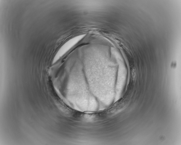 X0000093560570200711121017