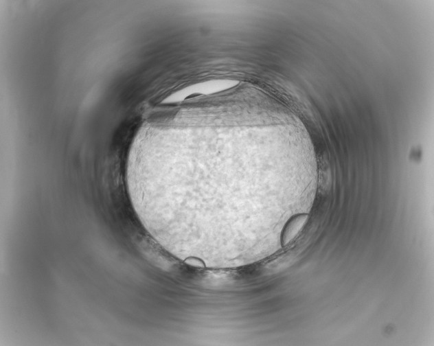 X0000093560573200711121017