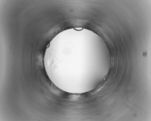 X0000093560575200711121017