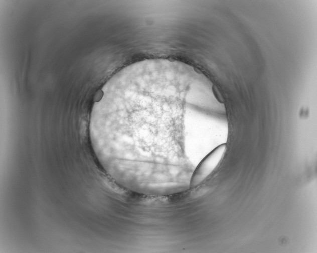 X0000093560576200711121017