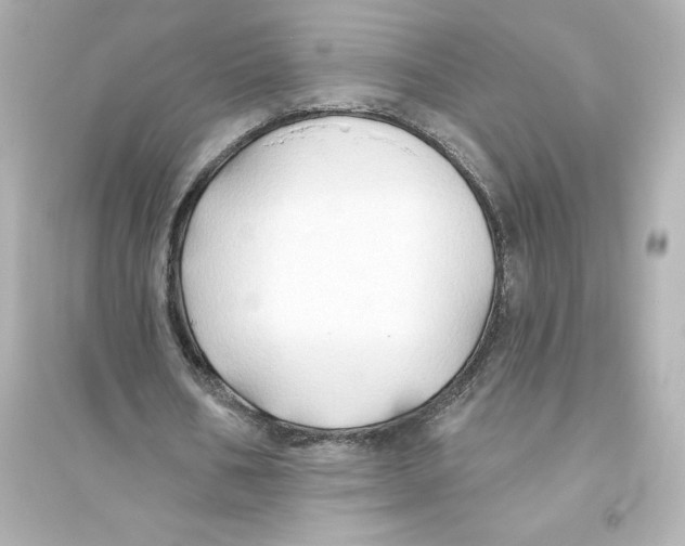 X0000093560578200711121016