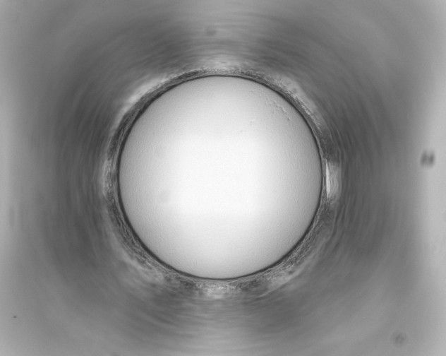 X0000093560579200711121016