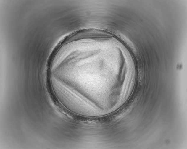 X0000093560580200711121016