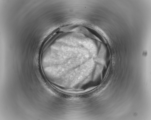 X0000093560581200711121016