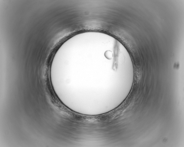 X0000093560583200711121016