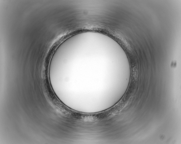 X0000093560587200711121016