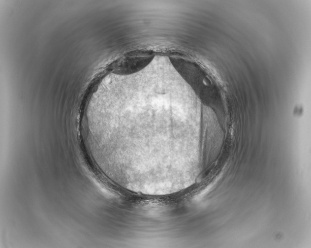 X0000093560589200711121016
