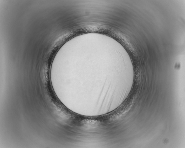 X0000093560590200711121016