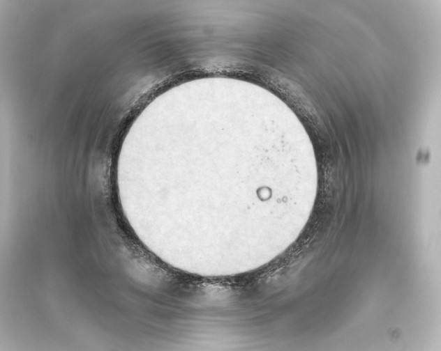 X0000093560592200711121016
