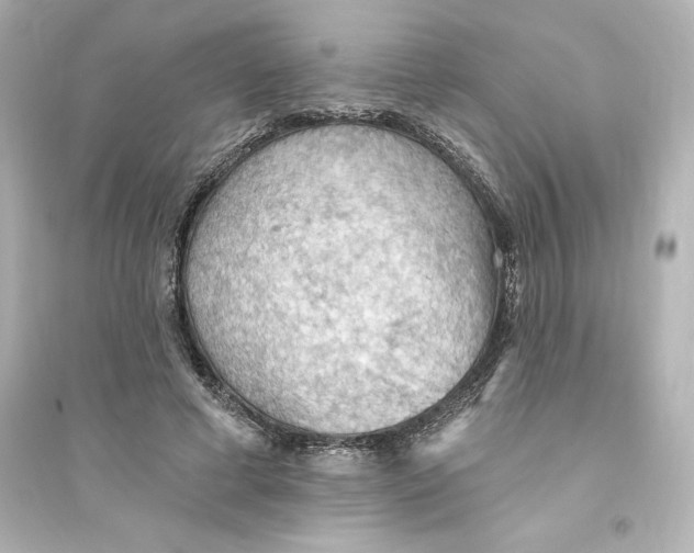 X0000093560593200711121016