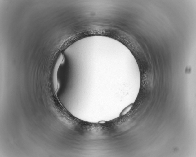 X0000093560600200711121016