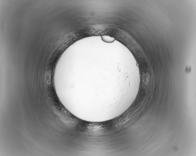 X0000093560602200711121016
