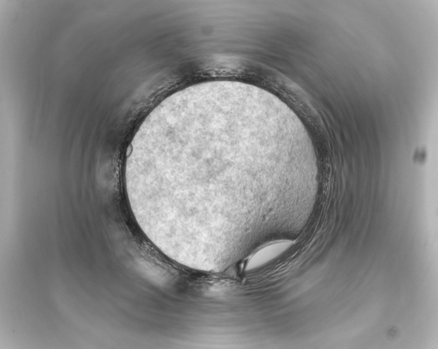 X0000093560604200711121016