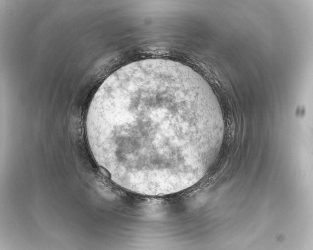X0000093560609200711121015