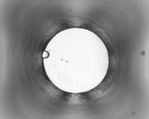 X0000093560612200711121015