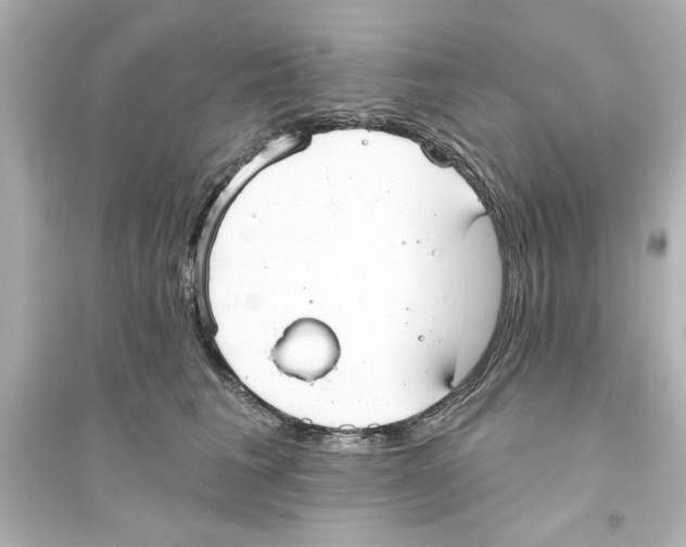 X0000093560613200711121015