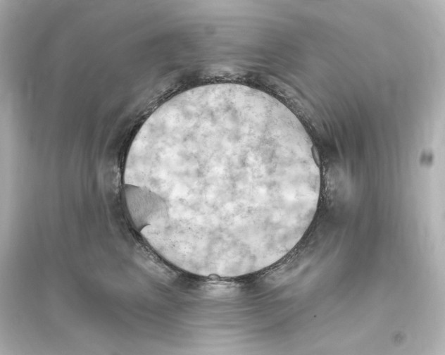 X0000093560617200711121015