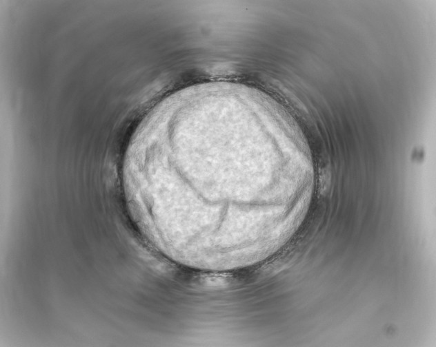X0000093560618200711121015