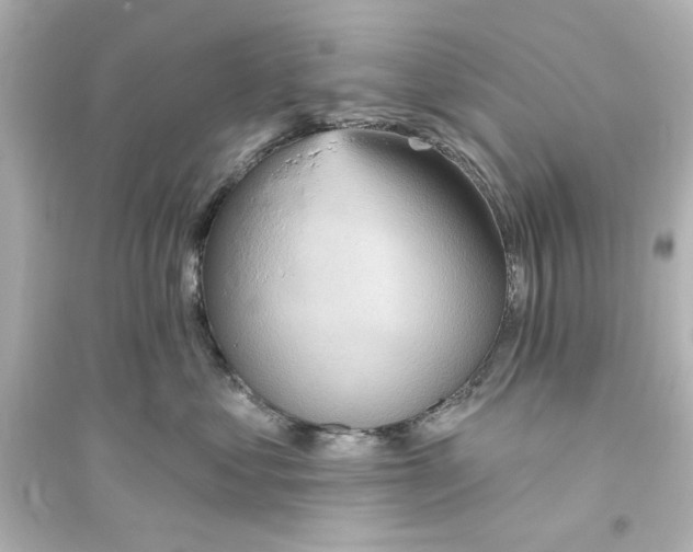X0000093560621200711121015