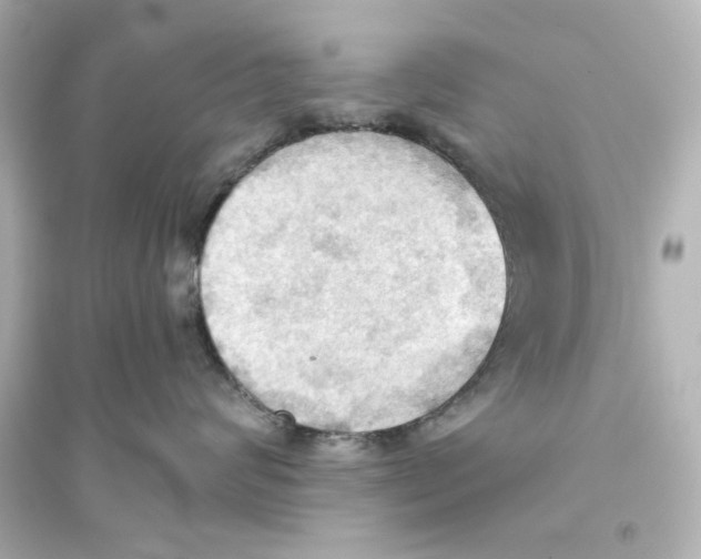 X0000093560624200711121015