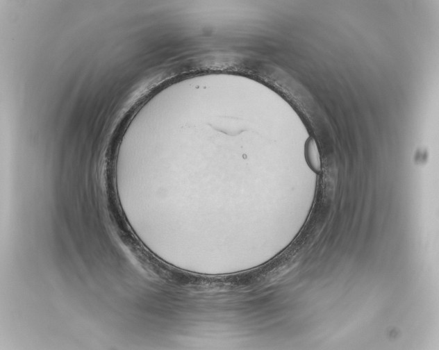 X0000093560626200711121015