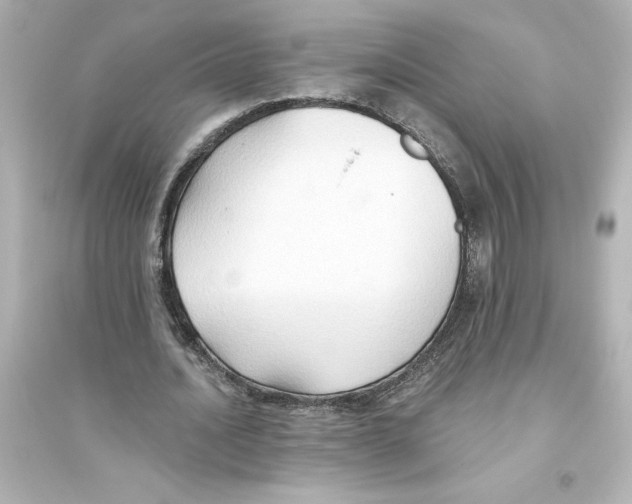 X0000093560628200711121015