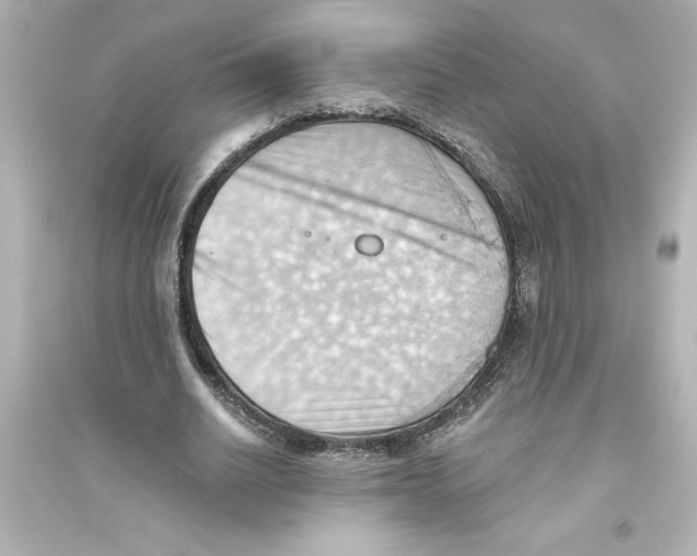 X0000093560630200711121015