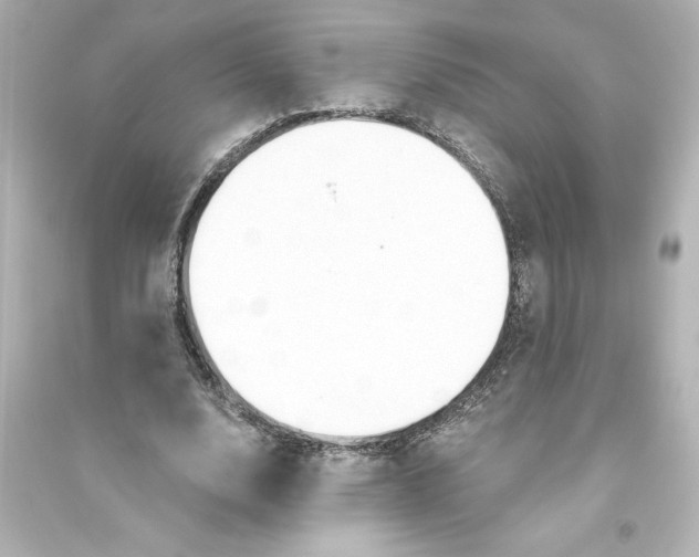X0000093560632200711121015