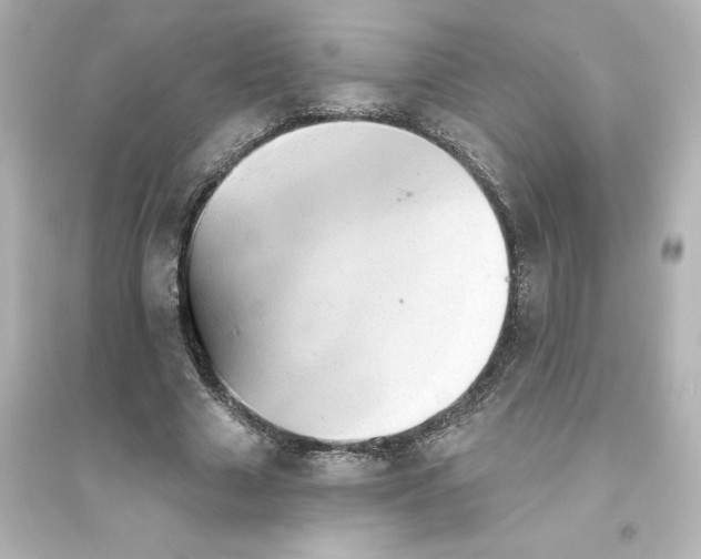 X0000093560633200711121015