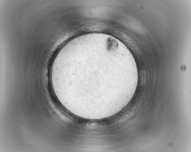 X0000093560634200711121015
