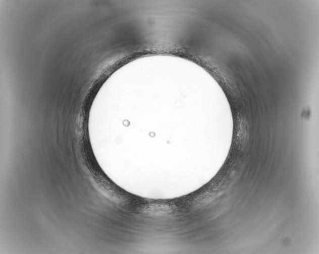 X0000093560636200711121015