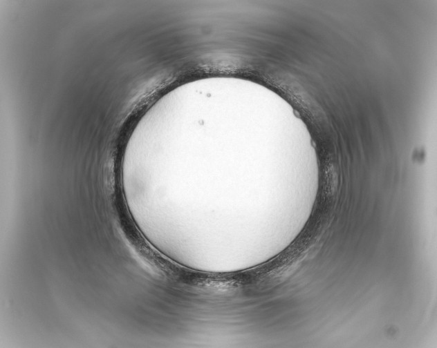 X0000093560638200711121015
