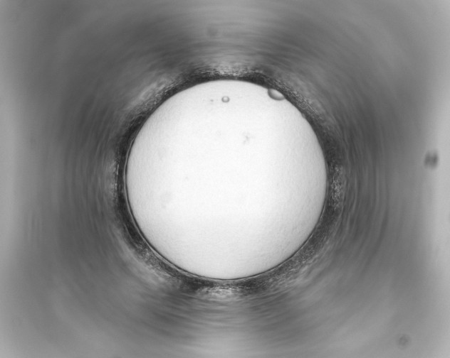 X0000093560639200711121015