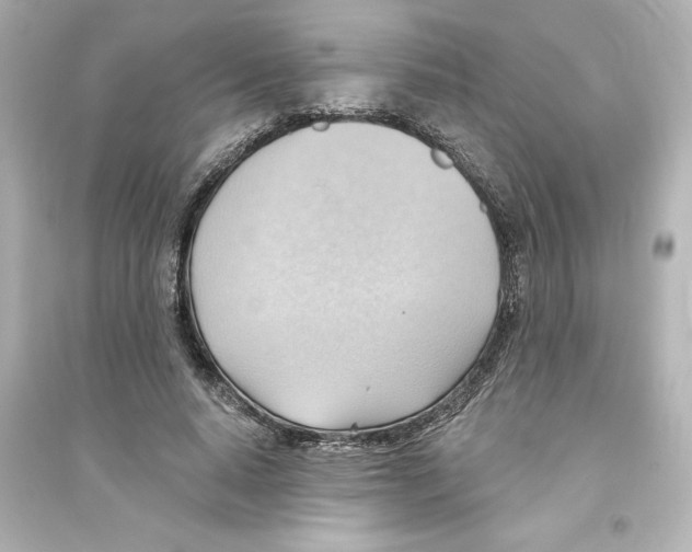 X0000093560640200711121015