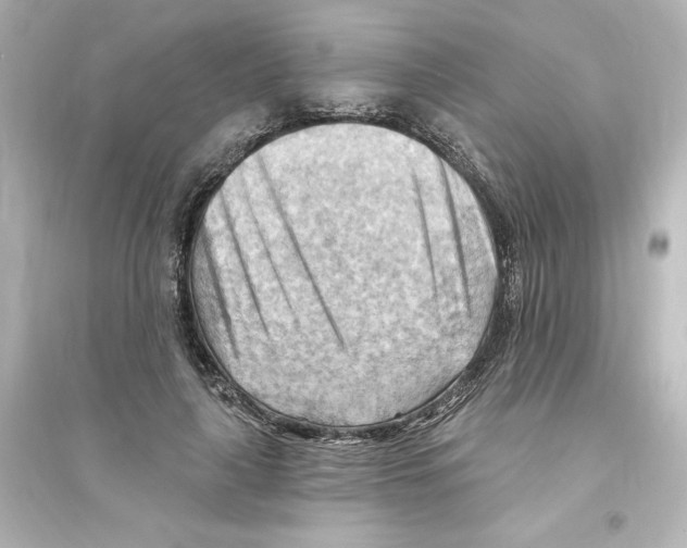 X0000093560643200711121015
