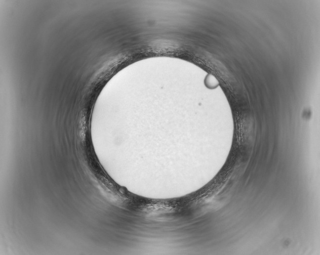 X0000093560644200711121015