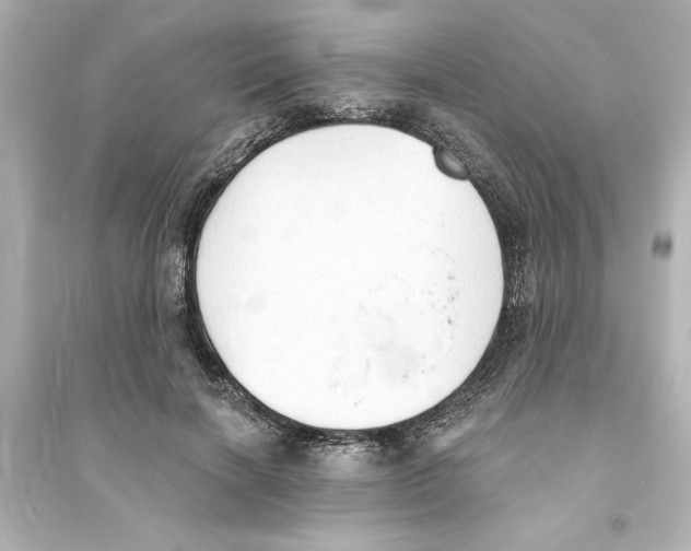 X0000093560646200711121015