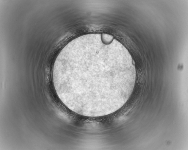 X0000093560648200711121015