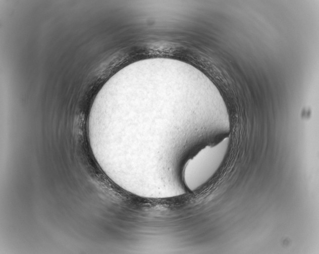 X0000093560649200711121015