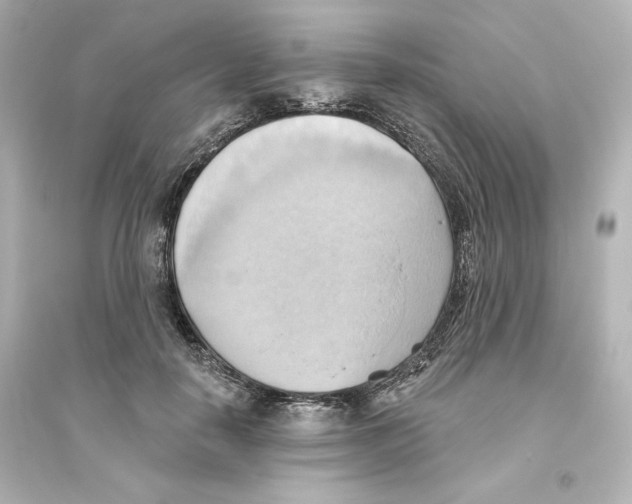 X0000093560650200711121015