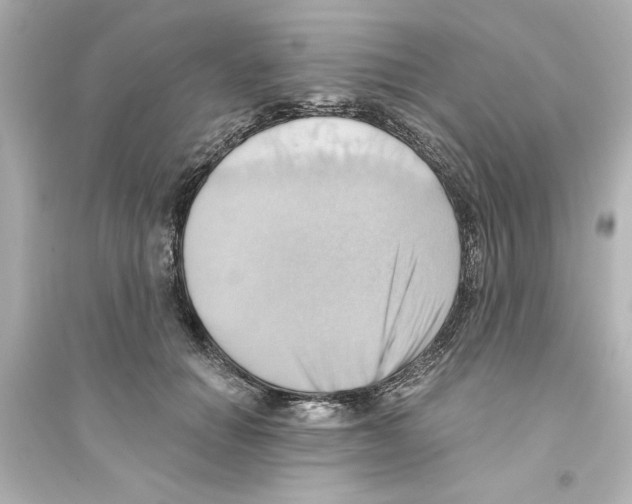 X0000093560654200711121015