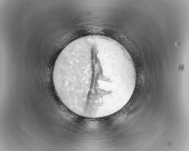 X0000093560658200711121015