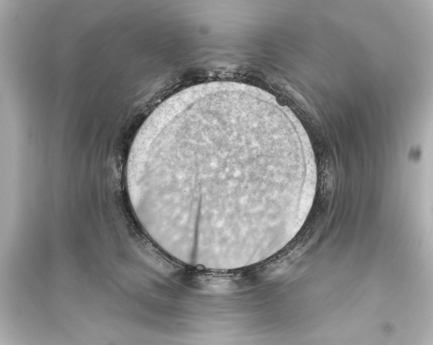 X0000093560661200711121015