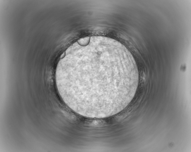 X0000093560663200711121015