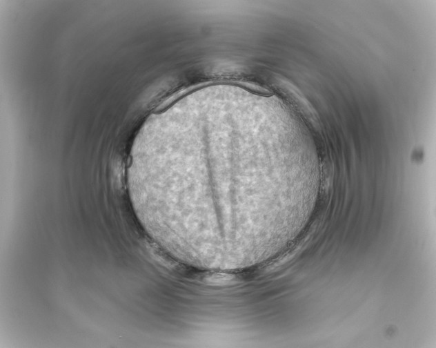 X0000093560669200711121015