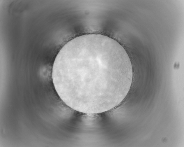 X0000093560672200711121015
