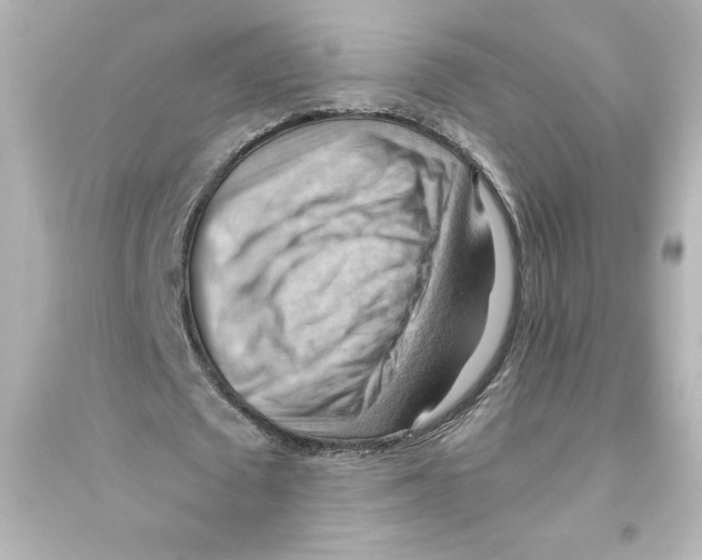 X0000093560673200711121015