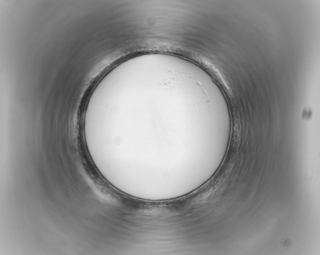 X0000093560674200711121015