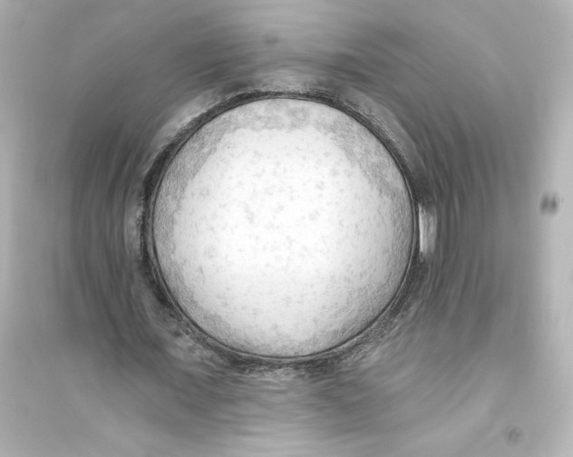 X0000093560675200711121015
