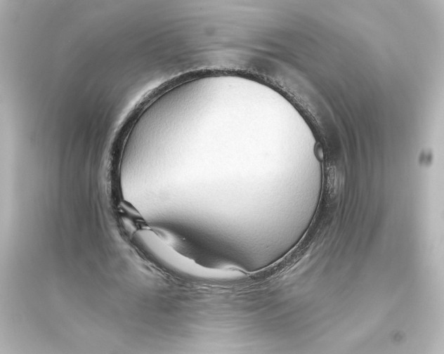 X0000093560676200711121015